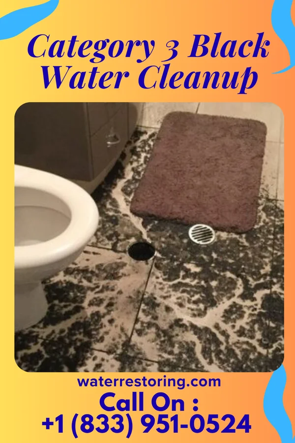 Category 3 Black Water Cleanup in Santa Fe, NM
